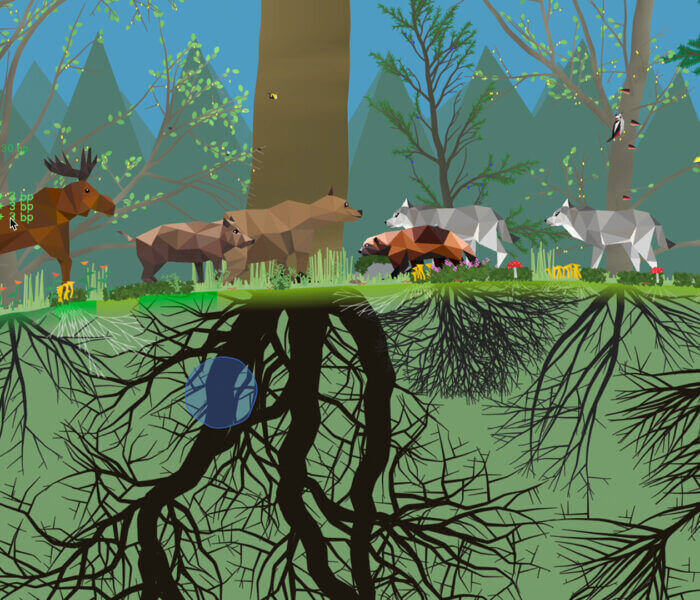 PolyPine: Cultivate Your Own Thriving Forest Ecosystem